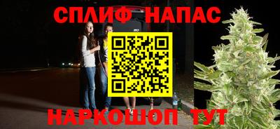 прущие грибы Малоярославец